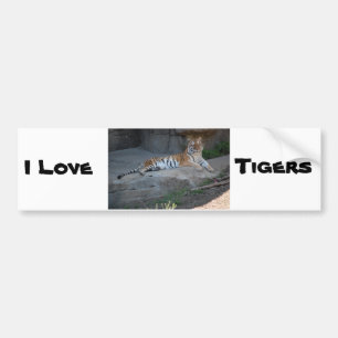 Bengal Tiger Love Bumper Sticker