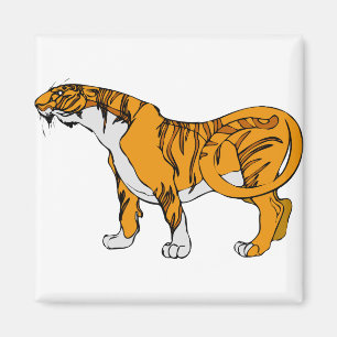 Bengal Tiger Magnet