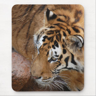 Bengal Tiger Mouse Pad