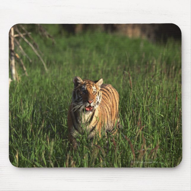 Bengal tiger mouse pad (Front)