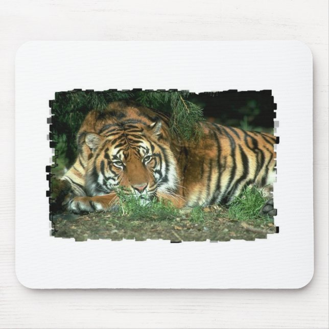 Bengal Tiger Mouse Pad (Front)