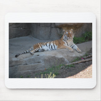 Bengal Tiger Mouse Pad