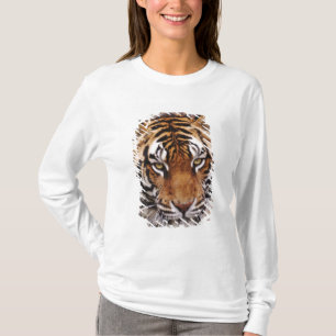 Bengal Tiger, Panthera tigris T-Shirt