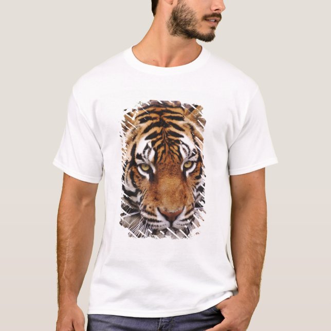 Bengal Tiger, Panthera tigris T-Shirt (Front)