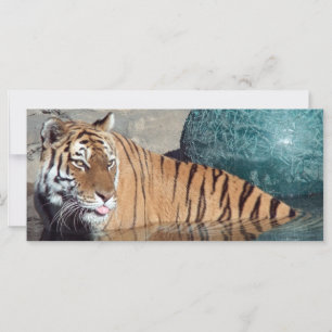 Bengal Tiger Photo Bookmark