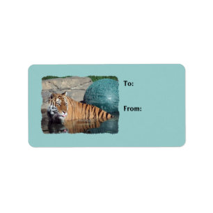 Bengal Tiger Photo Light Blue Gift Tags