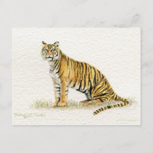 Bengal Tiger Postcard