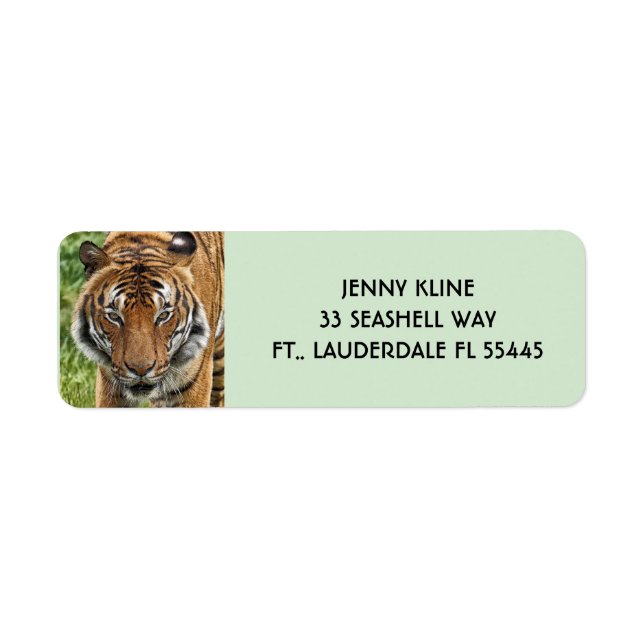 BENGAL TIGER Return Address LabelS (Front)