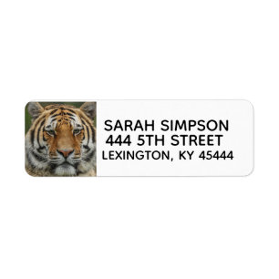 BENGAL TIGER RETURN ADDRESS LABELS