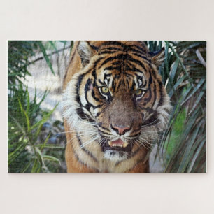 Bengal Tiger watching you  Jigsaw Puzzle