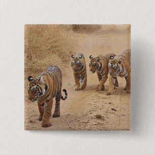 Bengal Tigers 15 Cm Square Badge