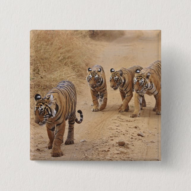 Bengal Tigers 15 Cm Square Badge (Front)