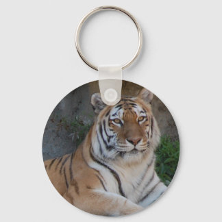 Bengal Tigers Key Ring