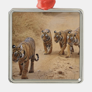 Bengal Tigers Metal Tree Decoration