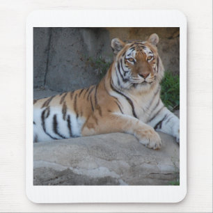 Bengal Tigers Mouse Pad