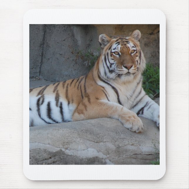 Bengal Tigers Mouse Pad (Front)