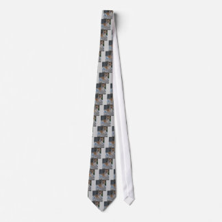 Bengal Tigers Tie