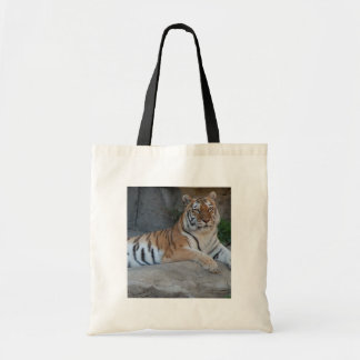 Bengal Tigers Tote Bag