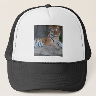 Bengal Tigers Trucker Hat