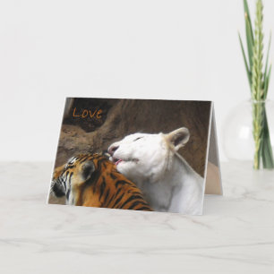 Bengal White Tiger Love Birthday Anniversary Any Card