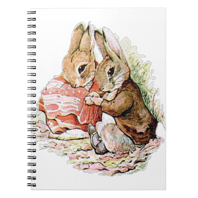 Benjamin Bunny and Peter Rabbit plan their raid Notebook (Front)