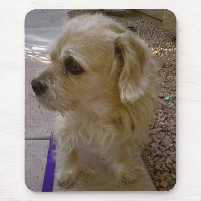 Benji Mouse Pad (Front)