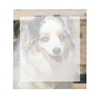 Bennett - Aussie Mini - Rosie - Carmel Beach Notepad