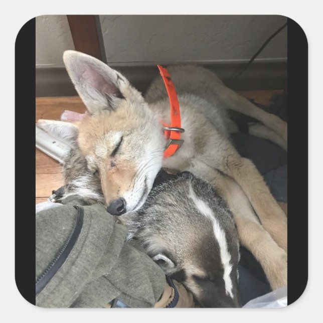 Benny and Doc Stickers (Front)