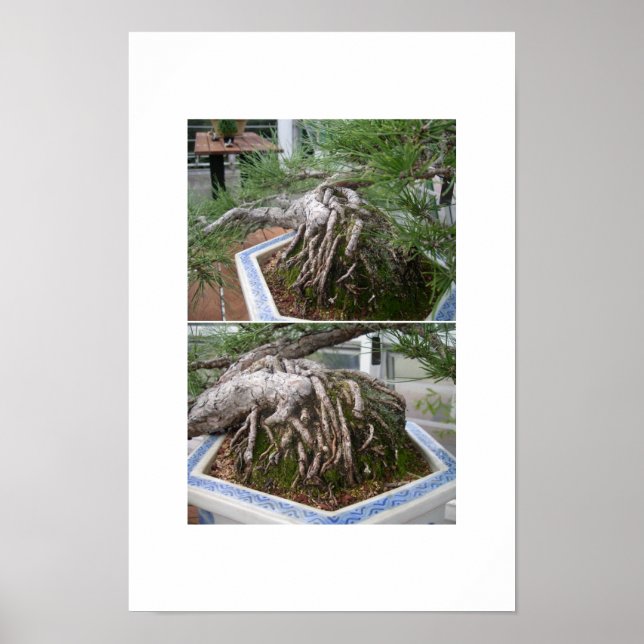 bent bonsai poster (Front)