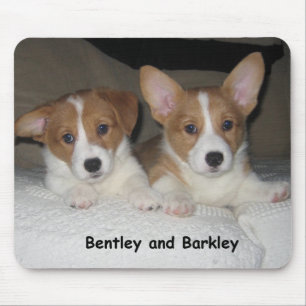 Bentley & Barkley Mouse Pad