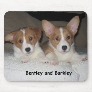 Bentley & Barkley Mouse Pad