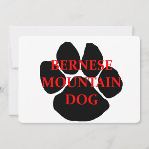ber mt dog name paw.png