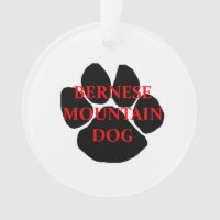 ber mt dog name paw.png