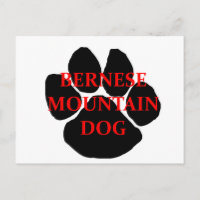ber mt dog name paw.png