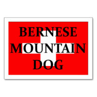 ber mt dog name switzerland flag.png