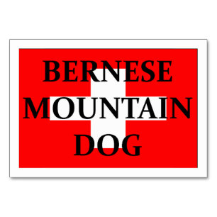 ber mt dog name switzerland flag.png table number
