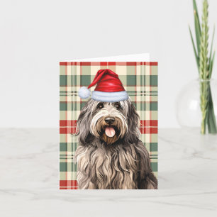 Bergamasco Christmas Dog Holiday Plaid