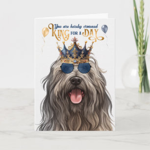 Bergamasco Dog King for Day Funny Birthday Card