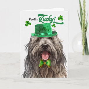 Bergamasco Dog Lucky St Patrick's Day Holiday Card