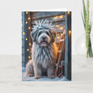 Bergamasco Sheepdog Dog Christmas Greeting Card