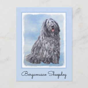 Bergamasco Sheepdog Painting - Cute Original Dog A Postcard