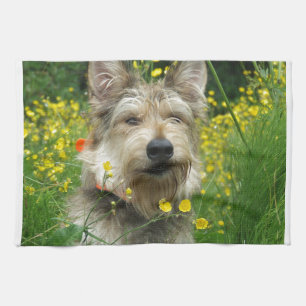 Berger Picard Dog Tea Towel