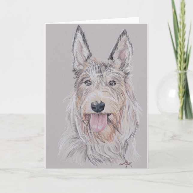 Berger Picard or Picardy Shepherd Dog Art Greeting Card (Front)