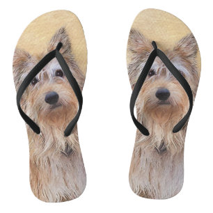 Berger Picard Painting - Cute Original Dog Art Jandals