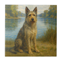 Berger Picard