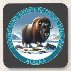 Bering Land Bridge National Preserve Alaska Coaster