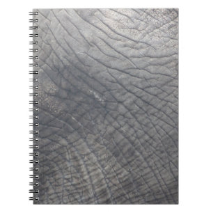 Berlin Notebook