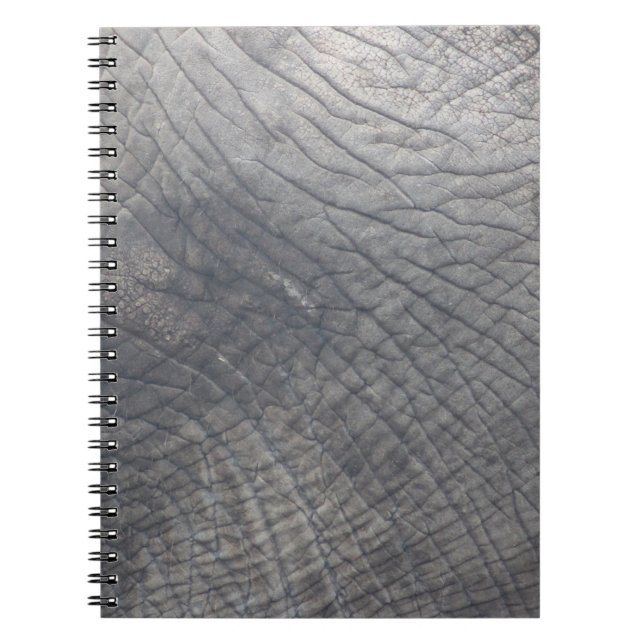 Berlin Notebook (Front)