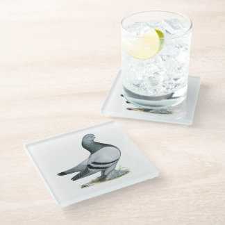 Berliner Tumbler Pigeon Blue Bar Glass Coaster
