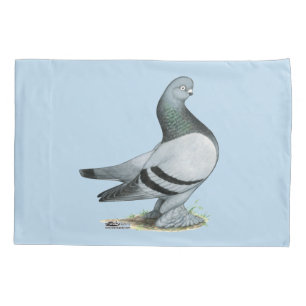 Berliner Tumbler Pigeon Blue Bar Pillowcase